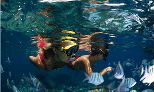 Disfrute de excursiones de esnórquel en Cruz Bay, St. John