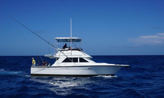 marlin fever offshore fishing punta cana