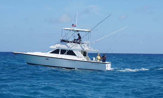 marlin fever offshore fishing punta cana