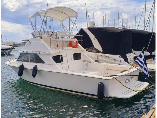 Bertram 28′ 1985/9m — 2 x 230 HP Yanmar