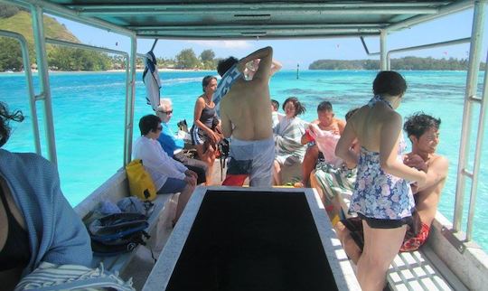 Lagoon Wildlife Adventure & Lunch on Private Islet