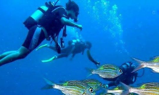 Enjoy Diving Trips & Courses in Tamarin, Mauritius