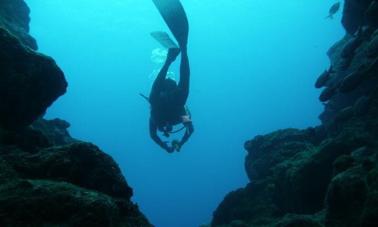 Disfrute de viajes y cursos de buceo en Tamarin, Mauricio