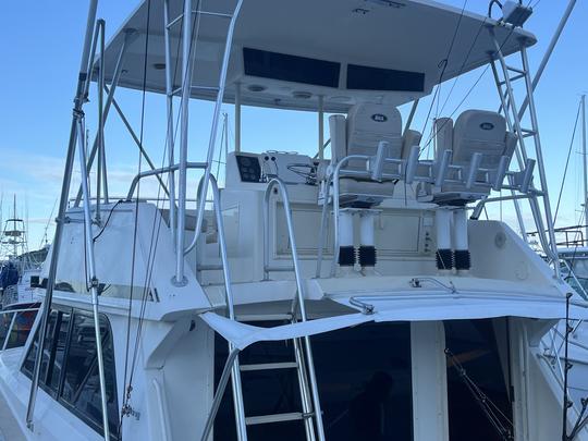 Fishing Adventures Aboard Our Fully-Renovated 48-Foot Viking Sport fisher