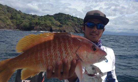 Ótima carta de pesca para 4 pessoas na Província de Puntarenas, Costa Rica