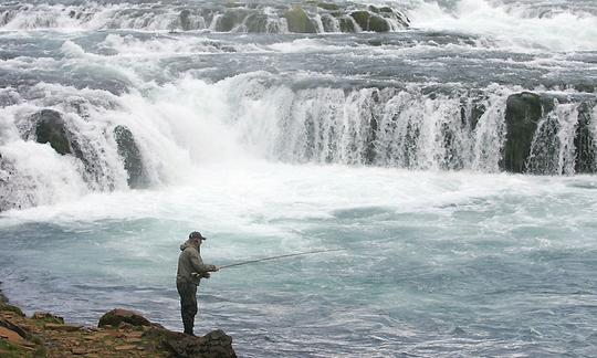 Disfruta de viajes de pesca con mosca en Keflavík, Islandia