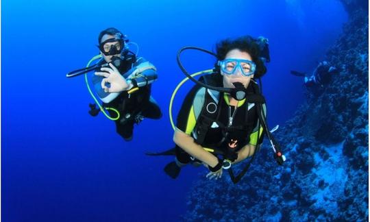 Disfrute de viajes y cursos de buceo en Hikkaduwa, Provincia del Sur