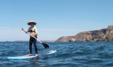 Paddleboard In Saint Agnes, England