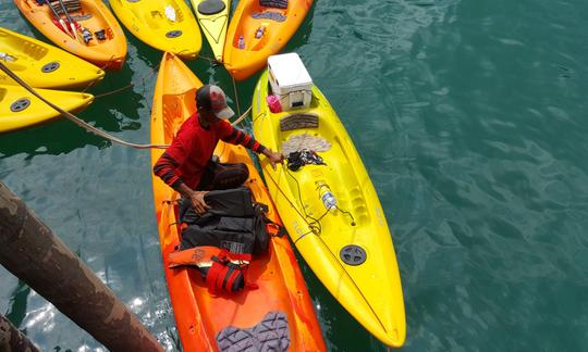 Kayak de alquiler en Endau