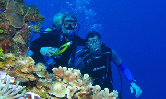 Curso PADI Open Water Diver en Dubái, Emiratos Árabes Unidos