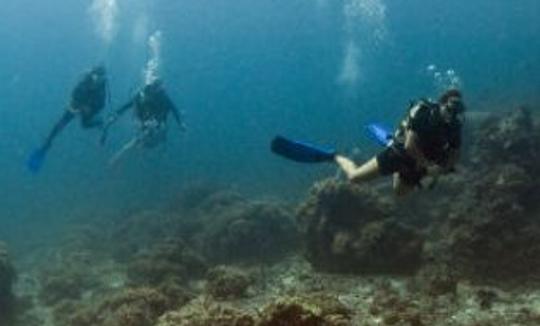 Curso PADI Open Water Diver en Dubái, Emiratos Árabes Unidos