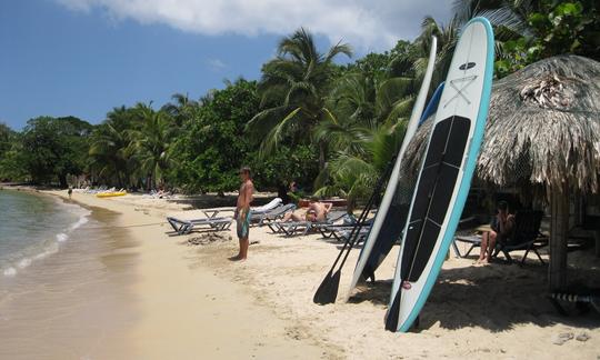 Aluguel e aula de stand up paddleboard em West End, Honduras