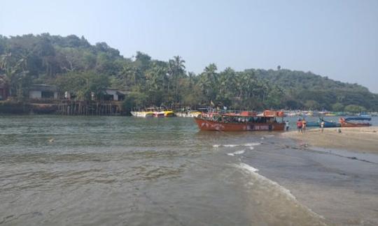 Explorez la vie sous-marine à Goa, en Inde