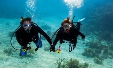 Increíble experiencia de buceo en Bali, Indonesia