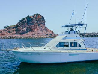 Custom 42ft Sport Fish Motor Yacht Charter in Mazatlan!