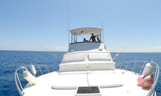 Sport fishing charter in Cancun, great service, great gear, great captain. The best fishing yacht in Cancun