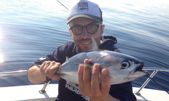 Louez une console centrale et partez à la pêche à La Spezia, en Italie