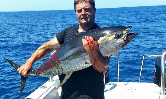 Disfrute de la pesca en Mtunzini, Sudáfrica, en el catamarán Tomcat Power