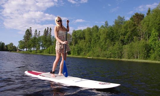 Location de paddleboard à Trondheim, Norvège