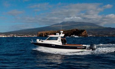 Pesca en alta mar en Madalena, Portugal, en una cabina Blue Cuddy de 29 pies