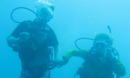 Disfruta de viajes de buceo en Umkomaas, Sudáfrica