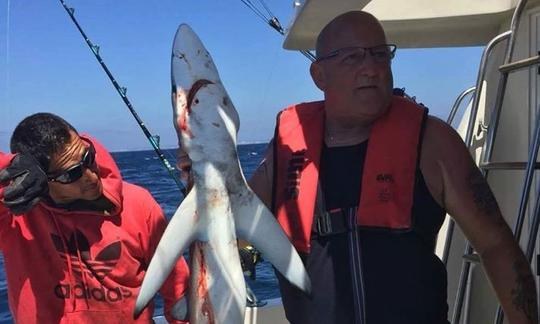 Disfrute de la pesca en Alvor, Portugal, en una cabaña Rodman Cuddy de 33 pies