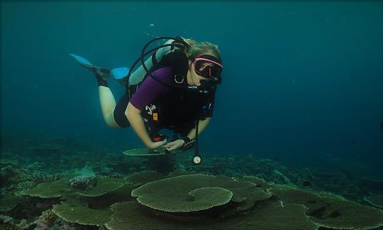 Disfruta de los cursos de buceo en Otopeni, Rumania