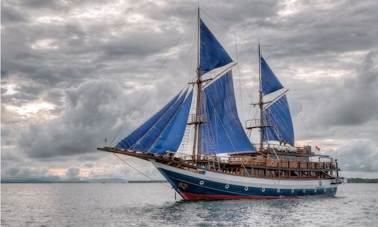 Sailing Sea Safari 8 Schooner Diving Liveaboard Cruises in Indonesia