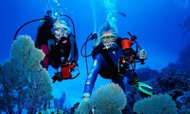 Disfruta de clases de buceo y viajes en Limasol, Chipre