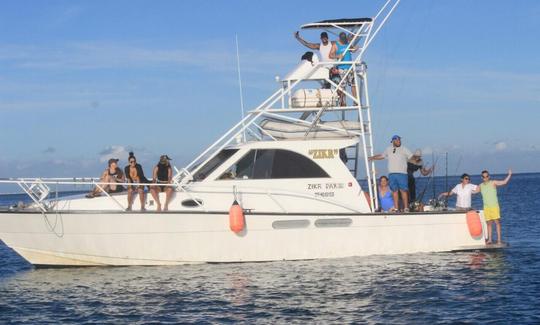 Reserve nuestro barco de pesca Sport Fisherman de 45 pies desde la isla Denarau, Fiji