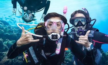 Diving Trips and Courses in Pattaya, Thailand