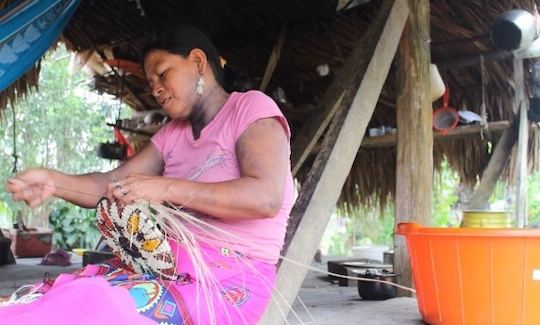 Viaje e experimente a selva, a cultura e a aventura em Garachiné, Panamá