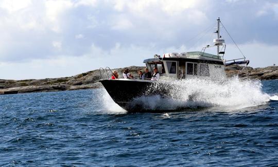 Alugue uma traineira Elin of Marstrand em Marstrand, Suécia