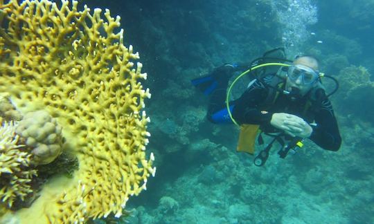 Enjoy Diving Courses in Kecskemét, Hungary