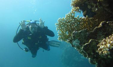 Disfruta de los cursos de buceo en Kecskemét, Hungría