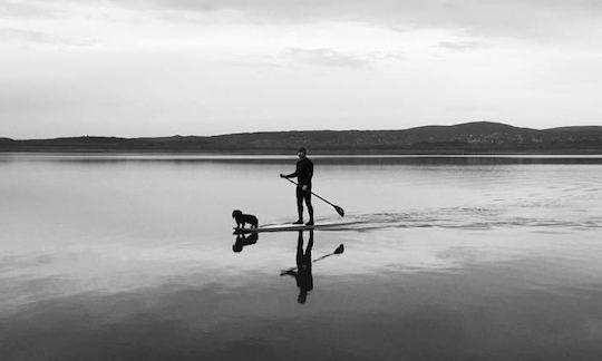 Stand Up Paddleboard Rentals in Gárdony, Hungary