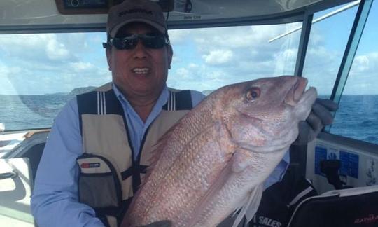 Aproveite a pesca em Auckland, Nova Zelândia, em 25' Cuddy Cabin