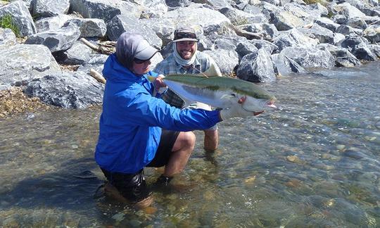 Enjoy Fly Fishing in Collingwood, Rockville Tasman