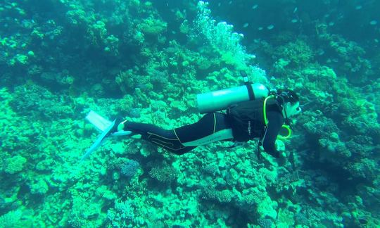 Disfrute de viajes y clases de buceo en Tallin, condado de Harju