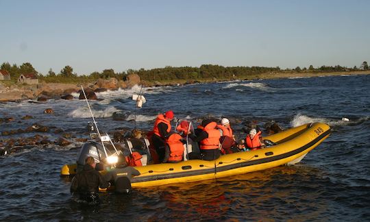 Disfrute de viajes y clases de buceo en Tallin, condado de Harju