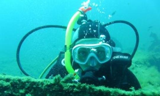 Palas de esnórquel, tortugas y buceo opcional con catamarán de 50 pies en Martinica