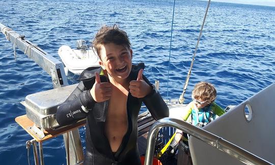 Palas de esnórquel, tortugas y buceo opcional con catamarán de 50 pies en Martinica