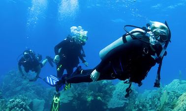 Disfruta de los cursos de buceo en Sozopol, Bulgaria