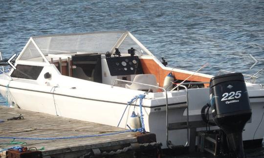 Profitez de la pêche à Mohelnice sur la console centrale de 23 pouces