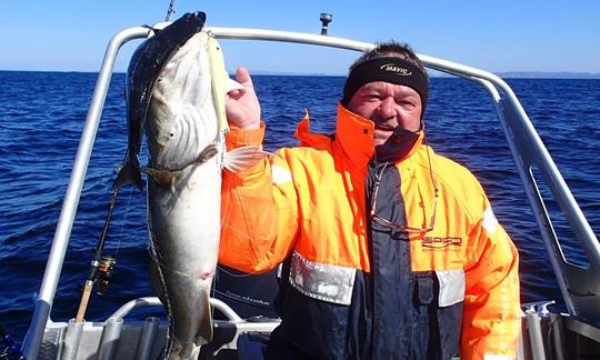 Profitez de la pêche à Mohelnice sur la console centrale de 23 pouces