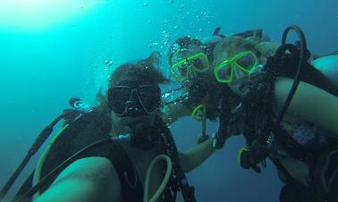 Enjoy Diving in Oranjestad, Aruba