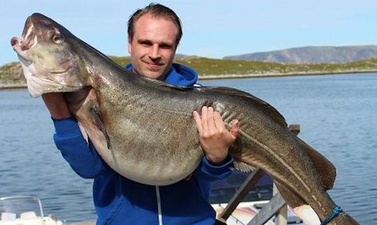 Divirta-se pescando em Finnmark, Noruega, no console Örnvik 555 Commander Center de 18 pés