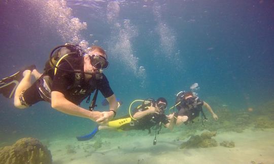 Enjoy Diving in Nosy Be, Madagascar