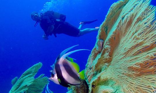 Enjoy Diving in Nosy Be, Madagascar