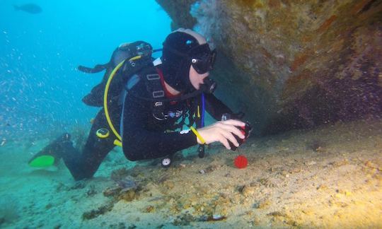 Enjoy Diving in Nosy Be, Madagascar